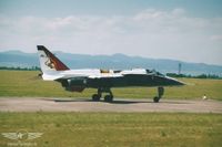 Ein Jaguar des Raffin Mike Duos Ein Jaguar des Raffin Mike Duos