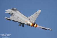 IMG_9494