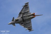 IMG_9500