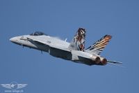 Dittinger Flugtage 2007