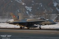 IMG_9504