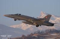 IMG_9511_2