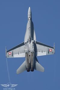 IMG_0930