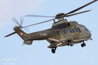 IMG_5446