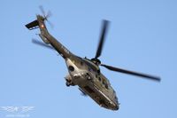 IMG_5447