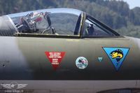 Das Staffelzeichen der Fliegerstaffel 7 mit der Forelle Jaqueline. Das Staffelzeichen der Fliegerstaffel 7 mit der Forelle Jaqueline.