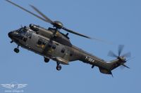 IMG_4550