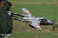 IMG_3710