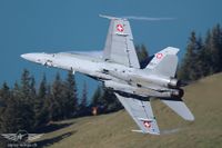 Auch das Swiss Hornet Display Team begeisterte am diesjährigen Fliegerschiessen Auch das Swiss Hornet Display Team begeisterte am diesjährigen Fliegerschiessen