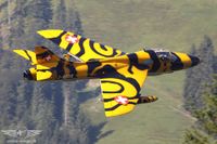 Ein dynamischer Start vom Tiger-Hunter Ein dynamischer Start vom Tiger-Hunter