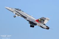IMG_8910
