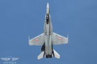 IMG_9196