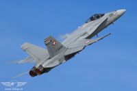 IMG_8892