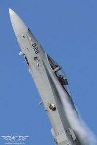 IMG_8911