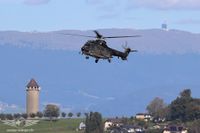 IMG_8989