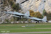 Das Parlament möchte den Tiger noch nicht ausmustern Das Parlament möchte den Tiger noch nicht ausmustern