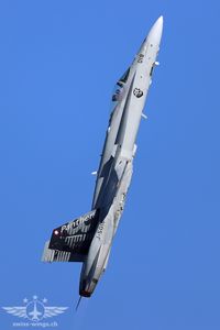 IMG_3111