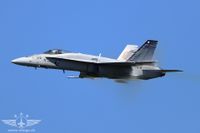 IMG_3219