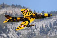IMG_7430
