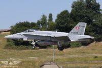 IMG_6130